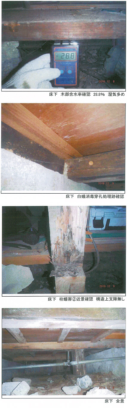 床下調査